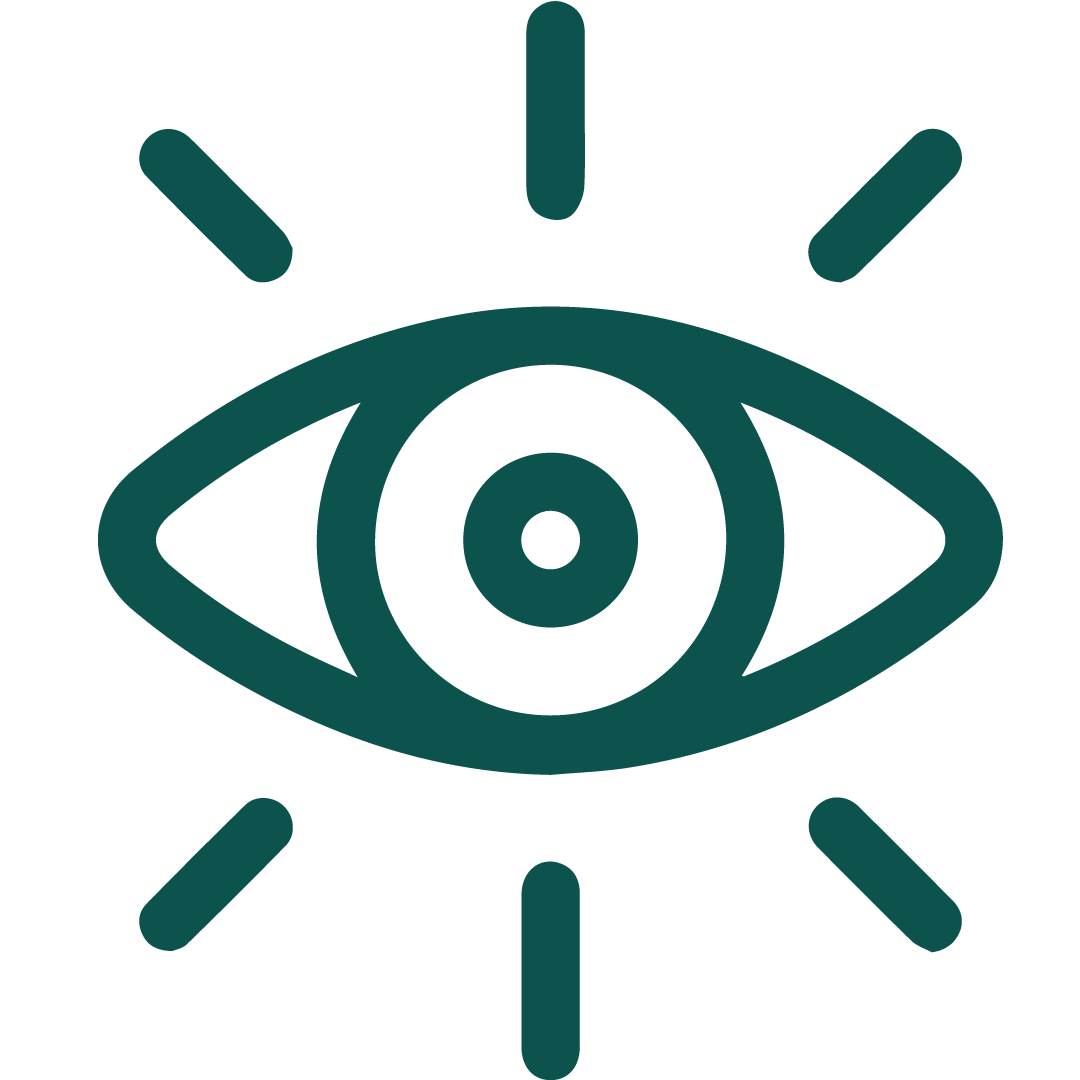 vision